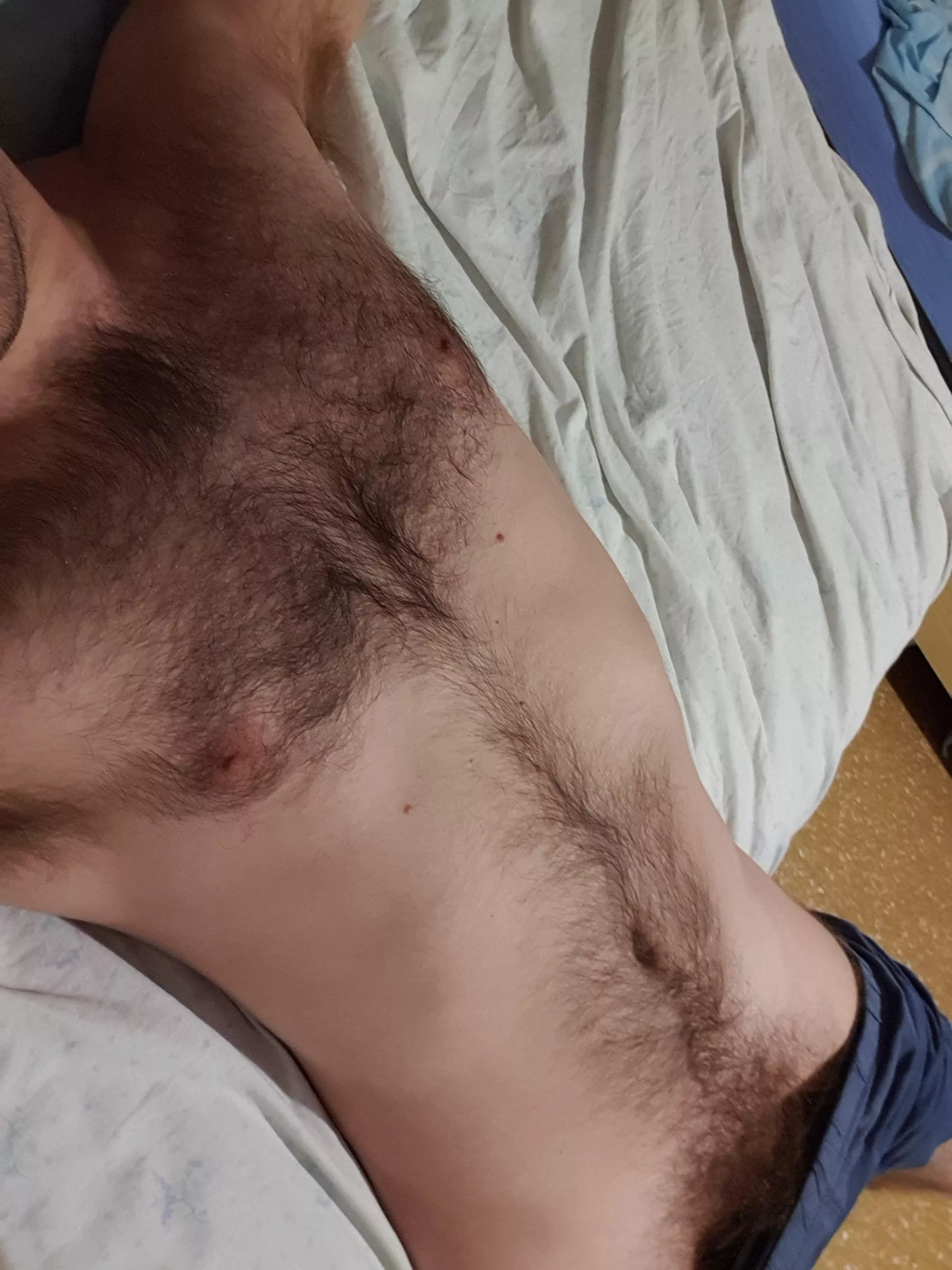 Do you want rub your hands on my fur? posted by Naughty_Alex1