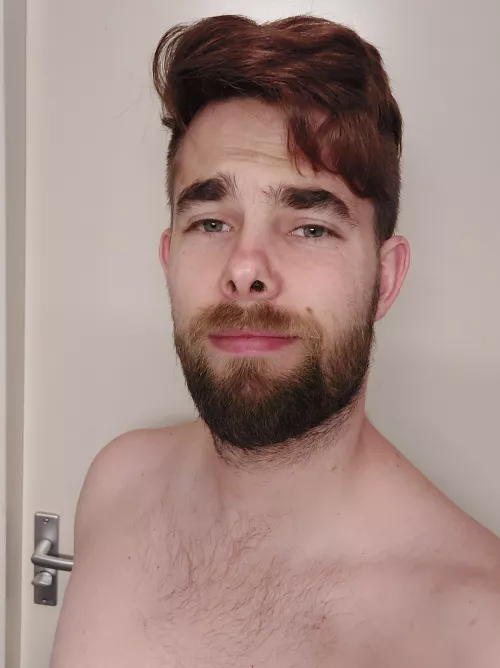 Dyed my hair 🍂✨️ by GreyAlder