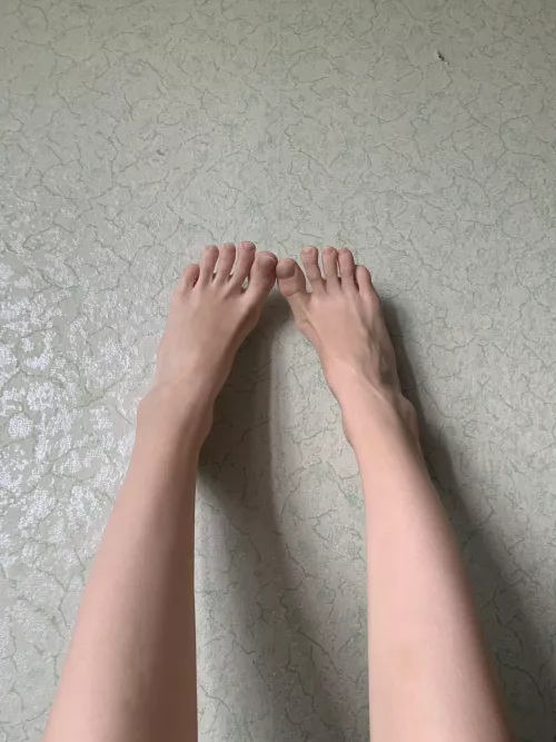 Fancy a leggy adventure? by thinFlop831