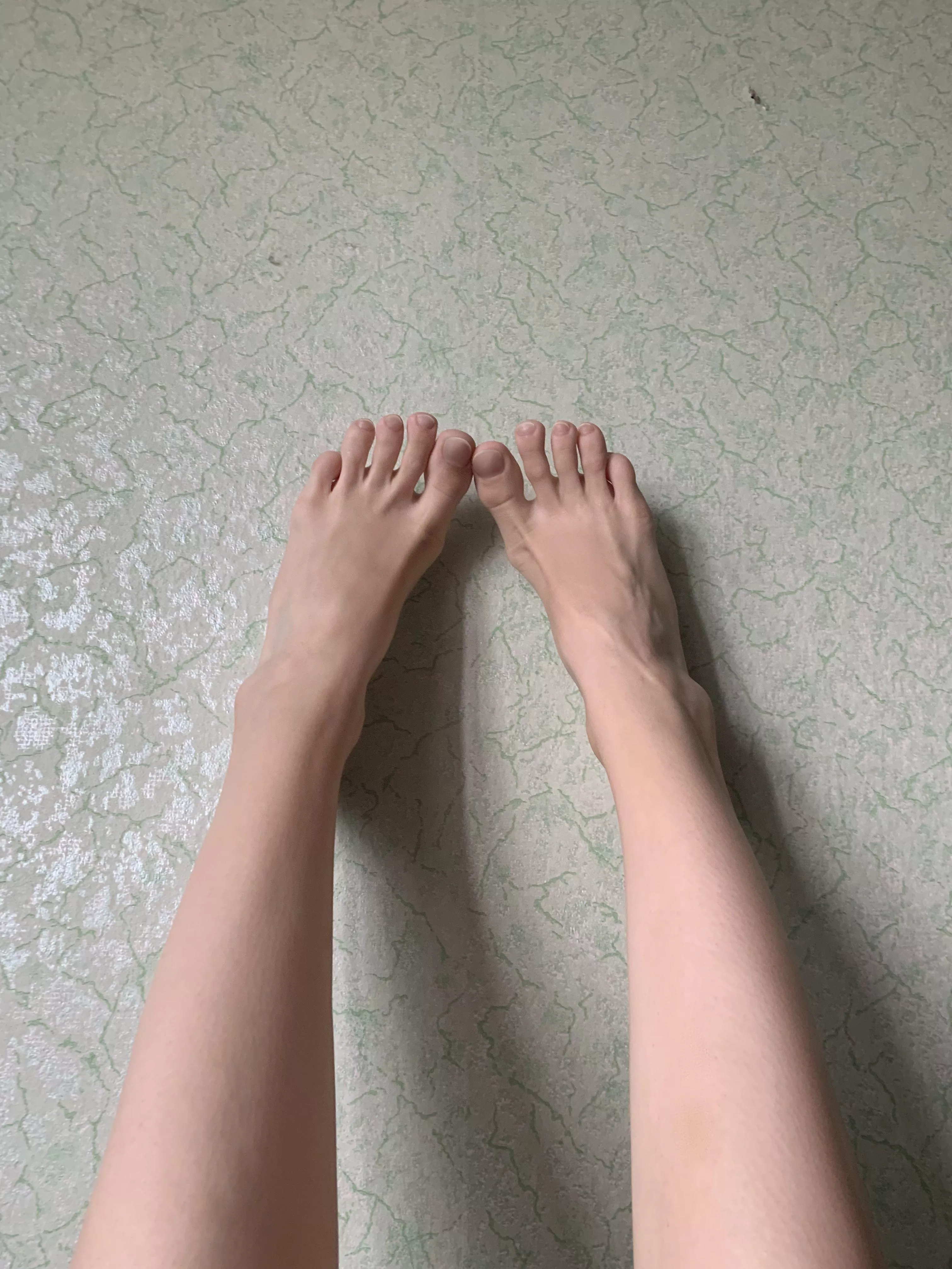 Fancy a leggy adventure? posted by thinFlop831