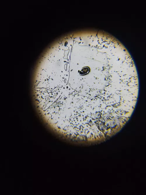 Little help by Wrong_Love_3004