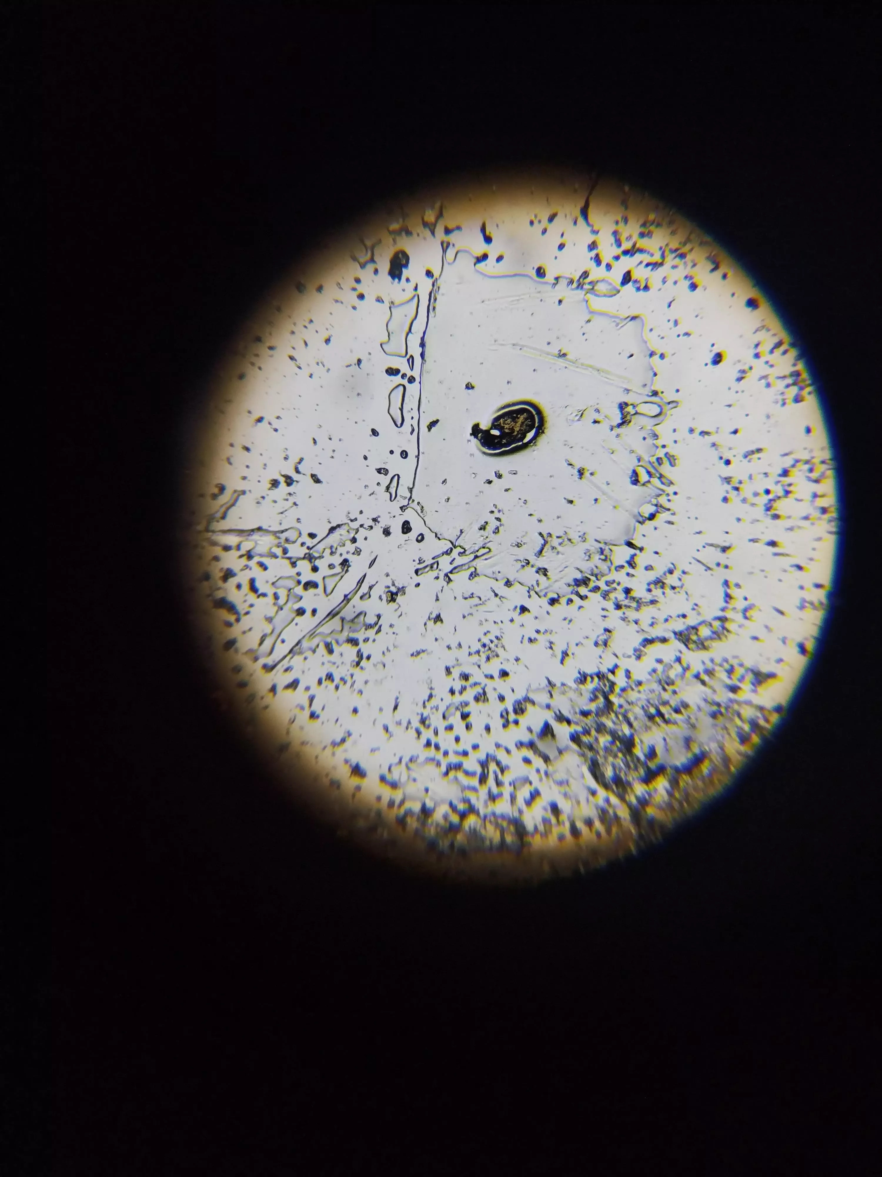 Little help posted by Wrong_Love_3004