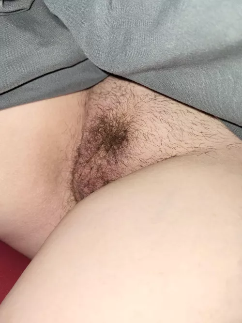 Milf hairy pussy 😋 by booty_gobbler3