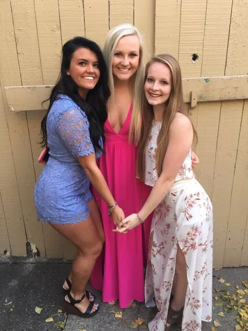 Patio Party by BingoDino-dna