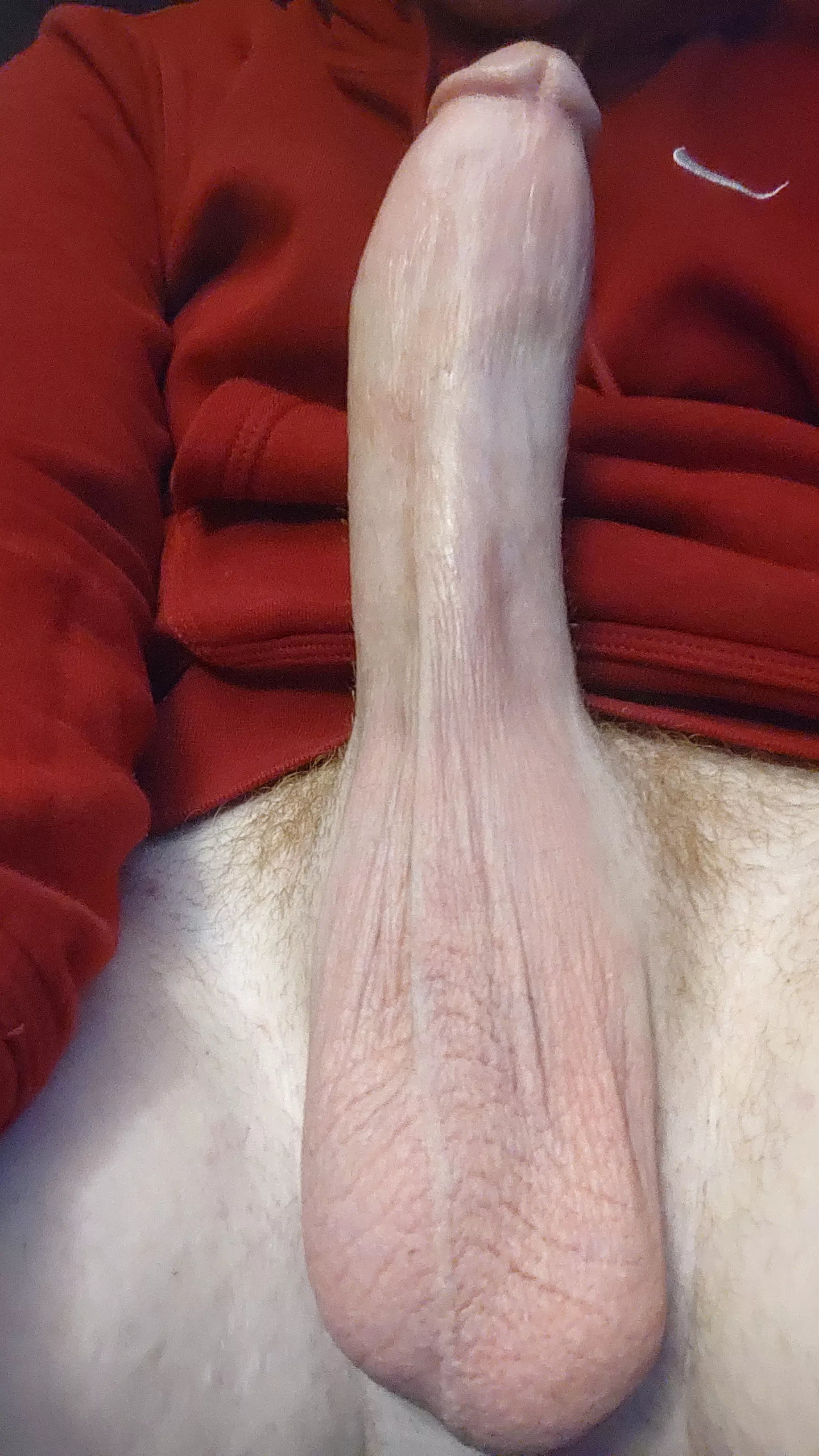 Some big ginger cock posted by mildly_hung