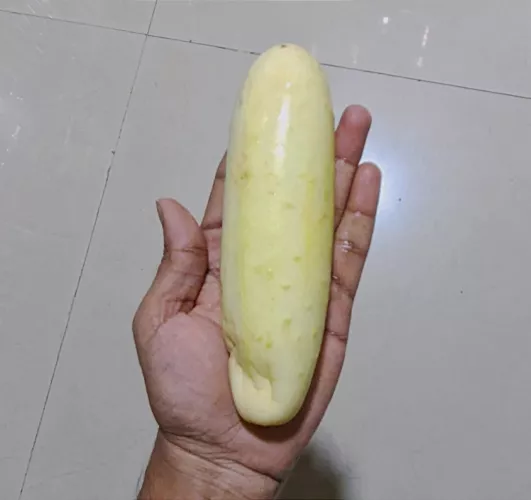 [18M] Gonna use this 7.5in cucumber tonight at 8pm IST. Dm if u wanna see it live 😉. by new-attorney-2709