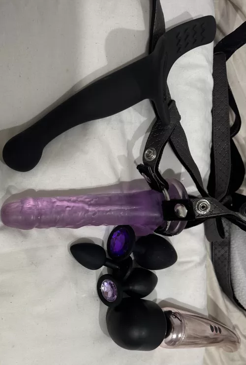 All the toys I use to dominate my boyfriend. I don’t think I have enough by joseph448
