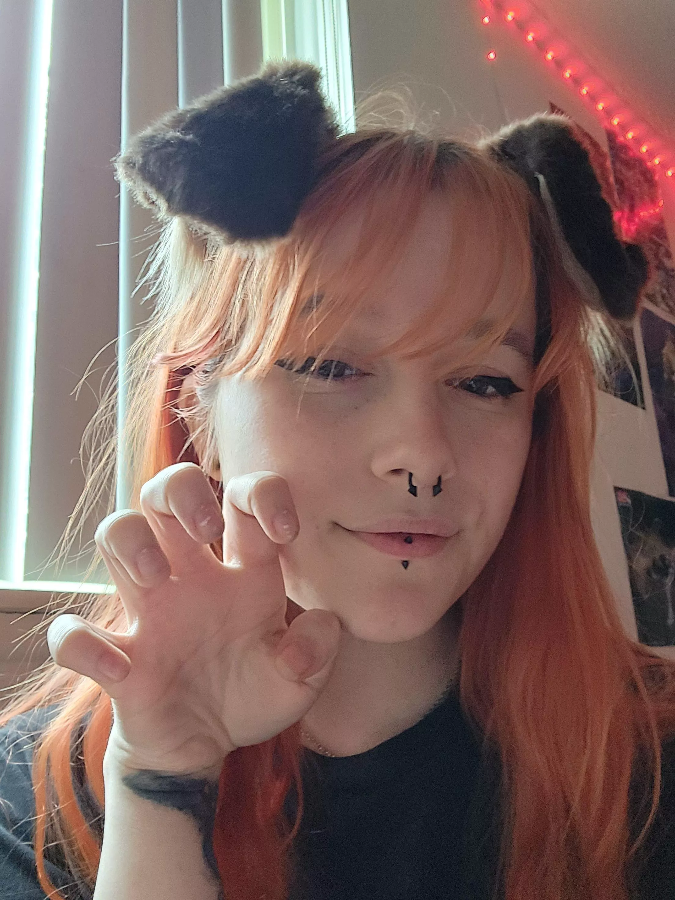 arf arf! look at my new ears! posted by lainyybugg