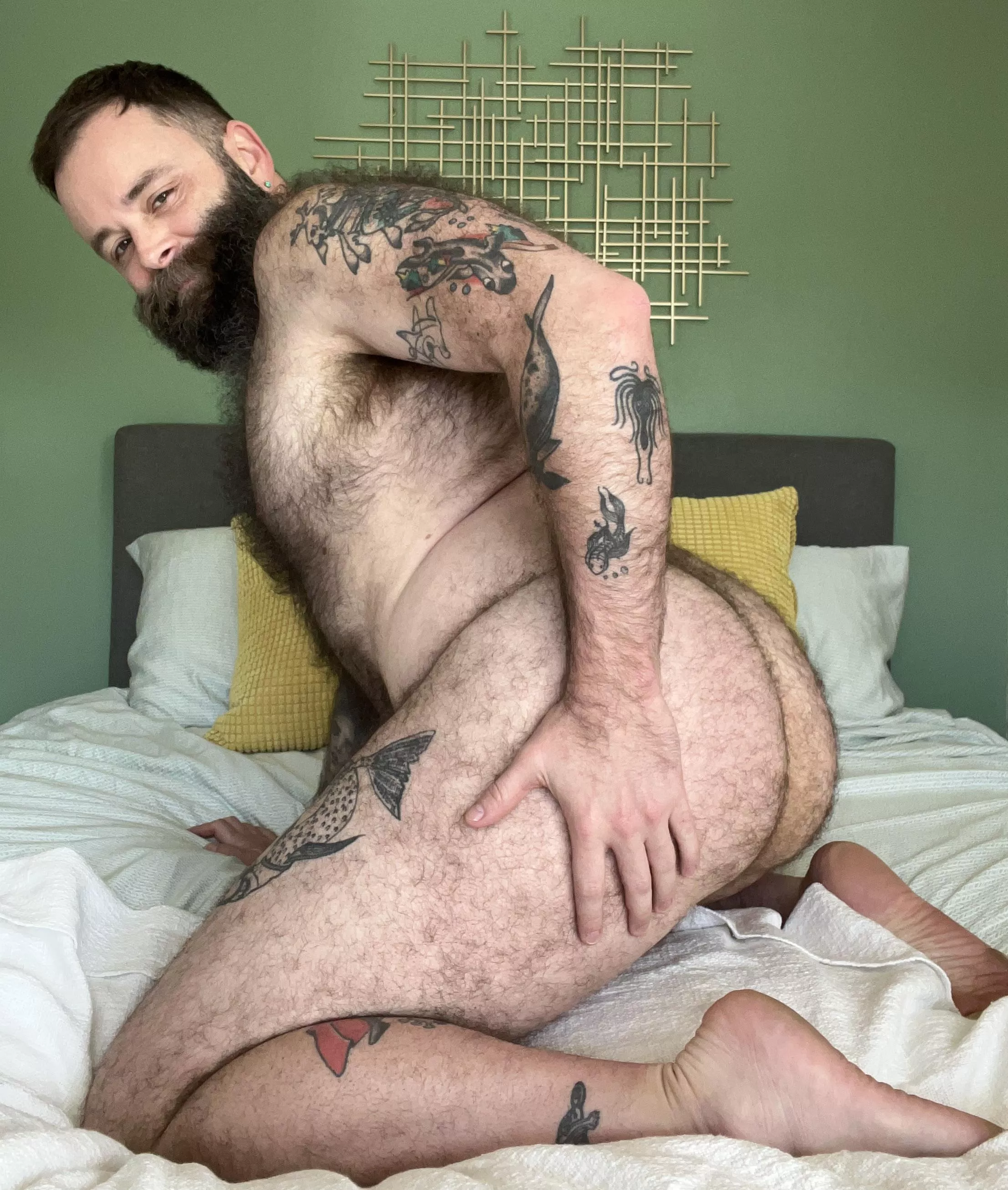 C’mon. Get in there. posted by TeddyWilderXXX