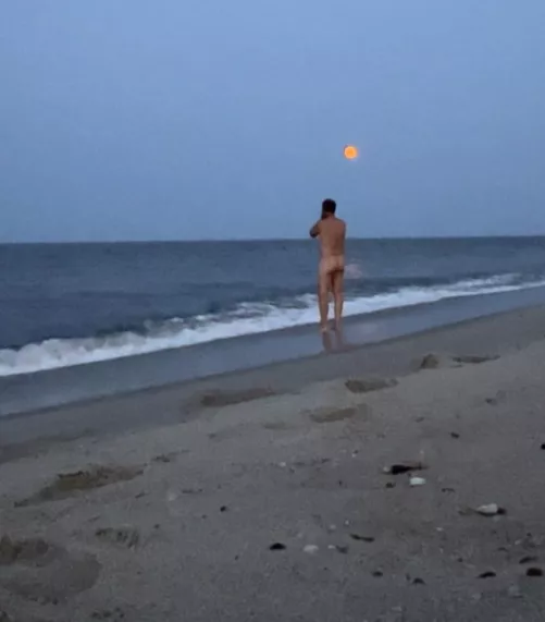 Enjoying a full moon by surfluvr