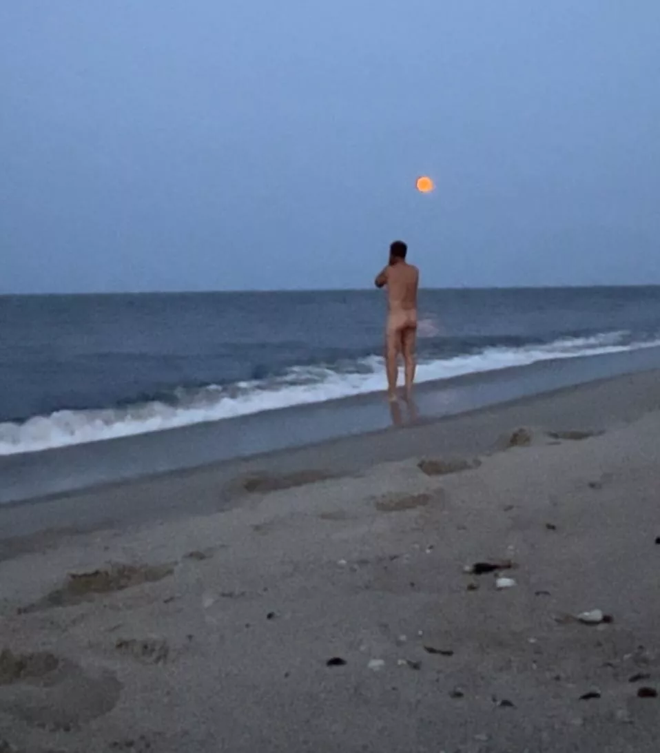 Enjoying a full moon posted by surfluvr