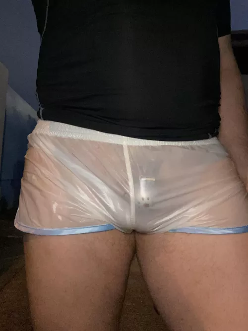 Evening walk by HKOZ88