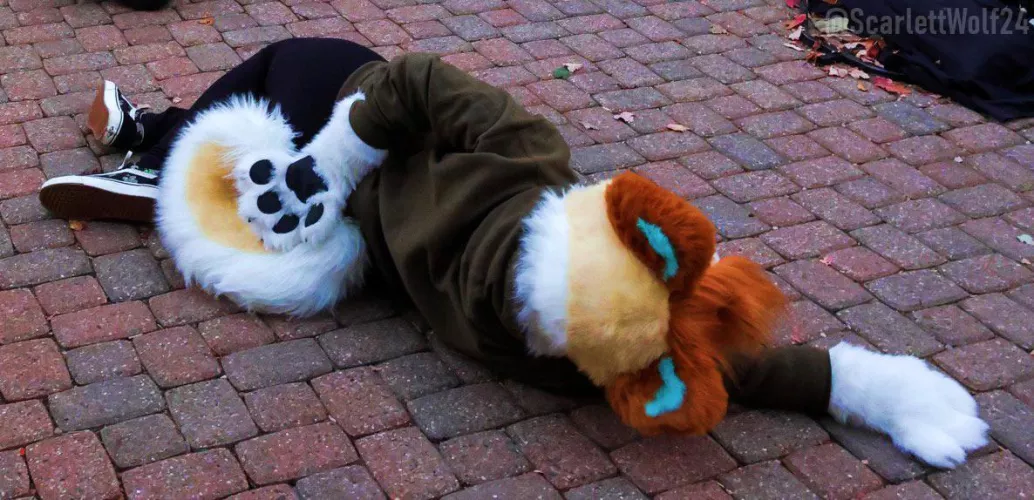 Happy Fursuit Friday! :) by scarlettwolf24