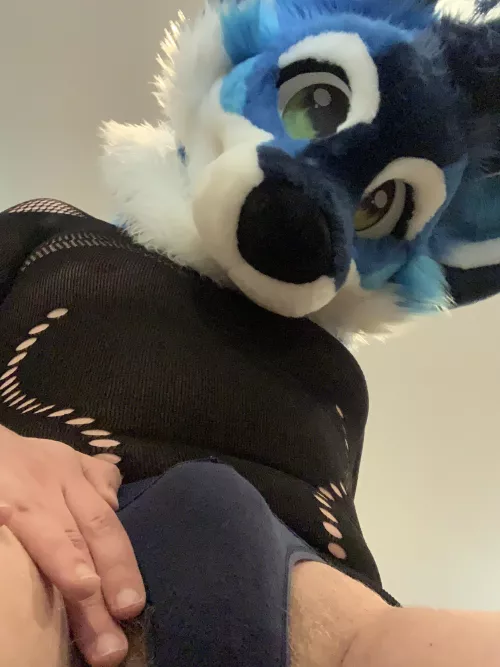 If you wanna look you gotta earn it cutie~ (a little tease for y’all before I head to bed) by _That_One_Pretzel_