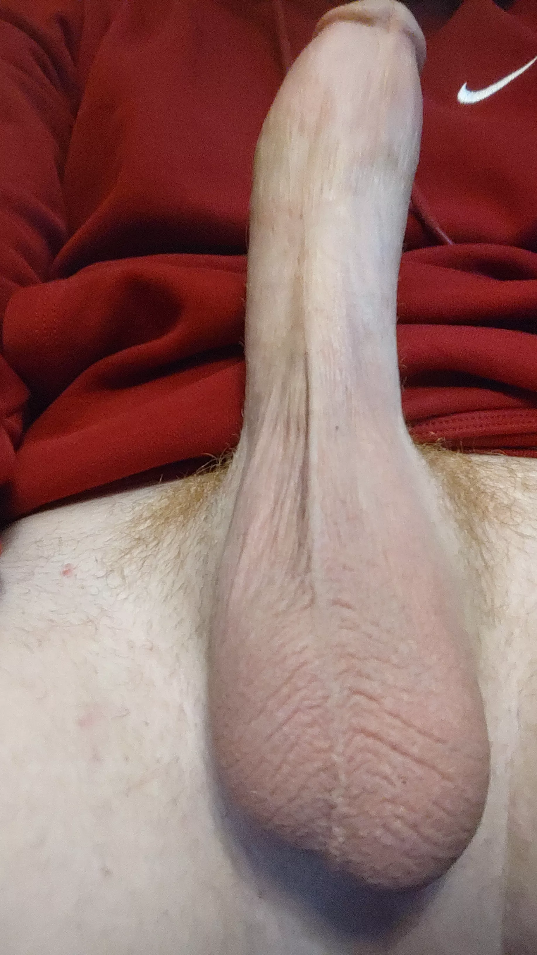 Need someone to suck posted by mildly_hung