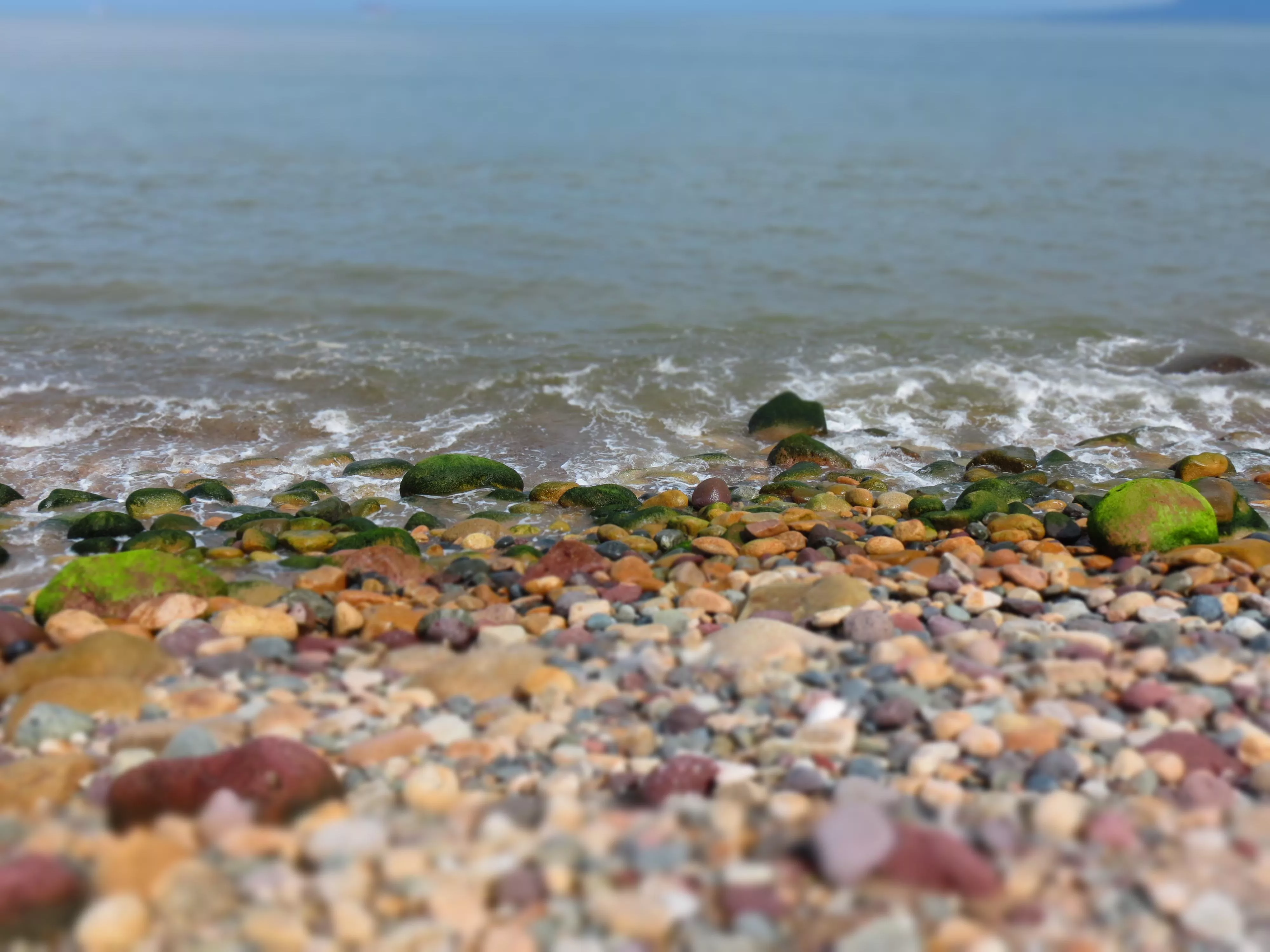 Puerto Vallarta, Mexico posted by Amazing-Edu2023