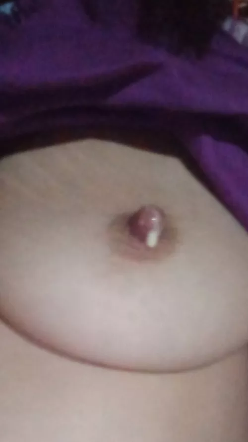 The pleasure of gata gota is greater than the previous one. It excites me a lot to get my milk for you by Agustina_27