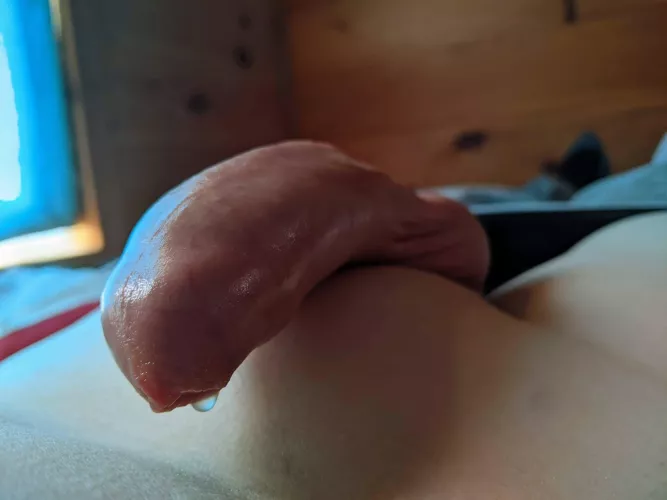 [35] A Drop From My Tight Foreskin Dick by uncutpenisdiary
