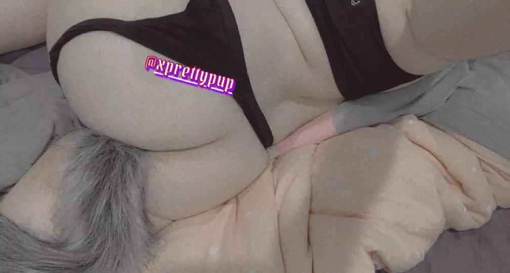 Dose this puppy get a bone~ posted by Xprettypup