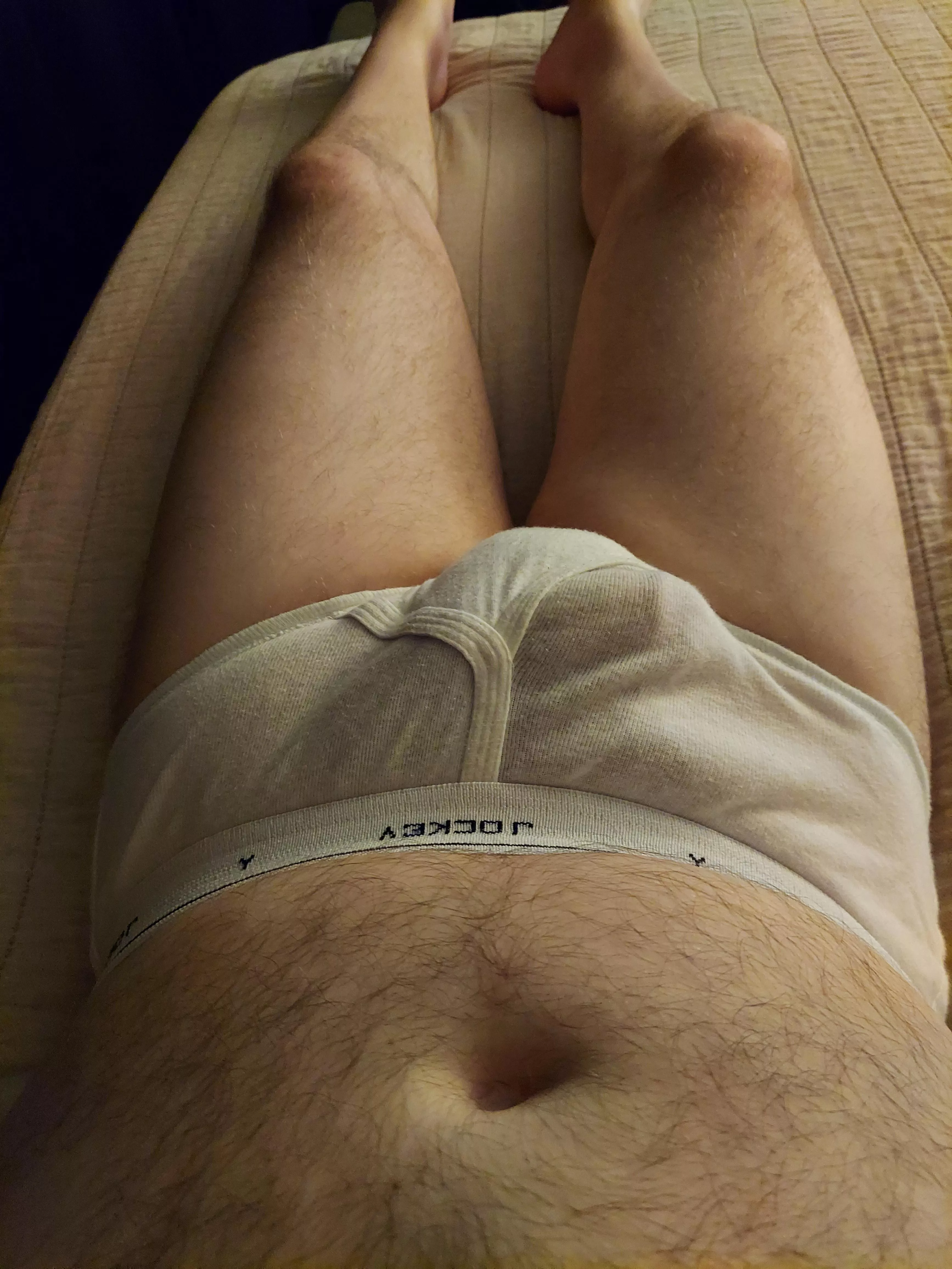 Good night bears posted by Homo_gone_wild