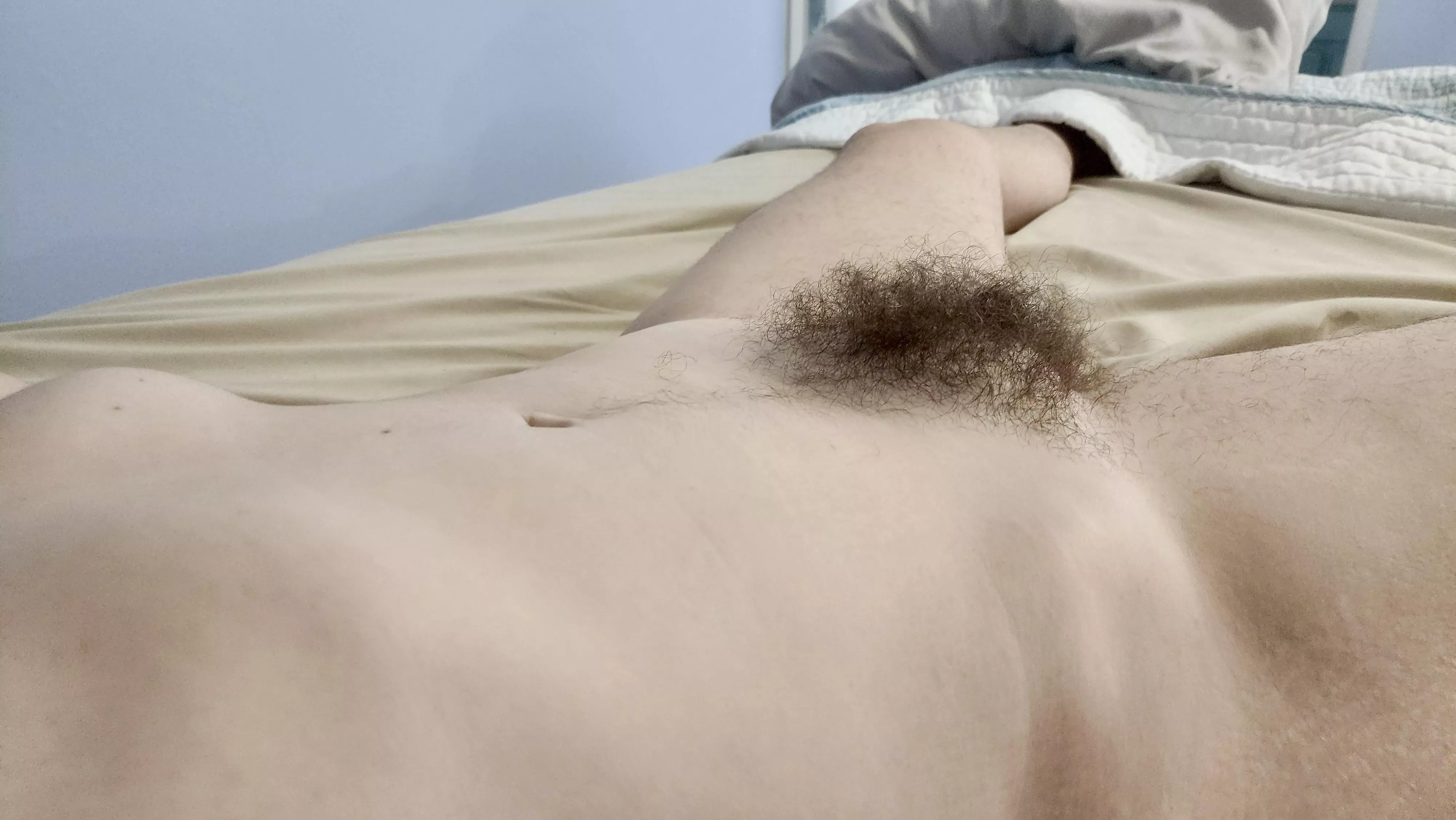 I love how full and fluffy my bush has become. What would you do between these legs? posted by nerdylittleplaything