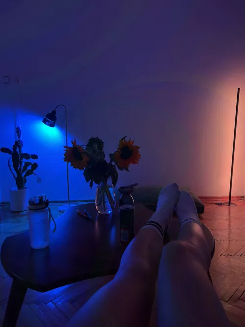 I'm shy until we start fucking. by EliseDavise