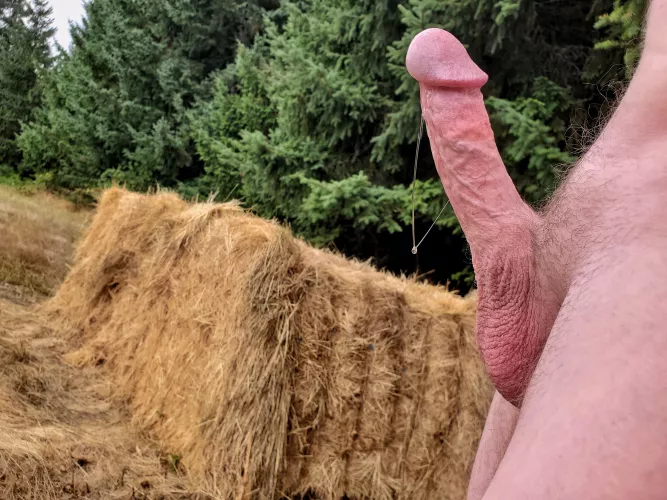 Just imagining bending someone over this haybale by NetflixQ4