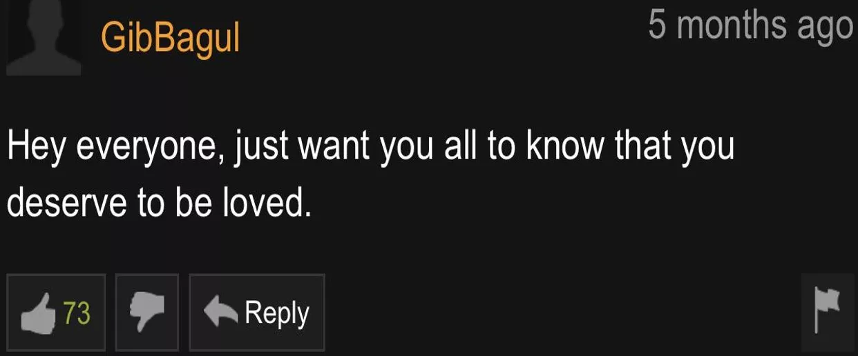 Wholesome posted by Regallyremake64