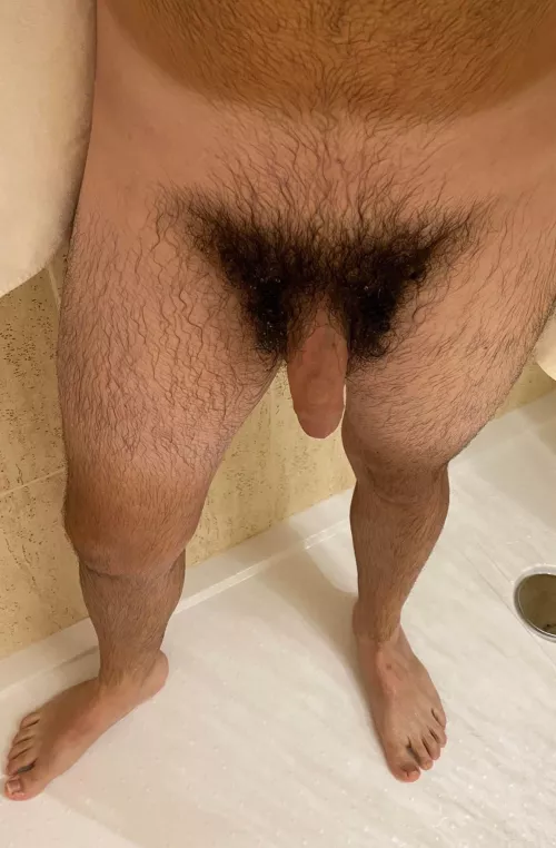 As you could see if I go to the gym showers. Do you think I should try it? by andy990aaa90