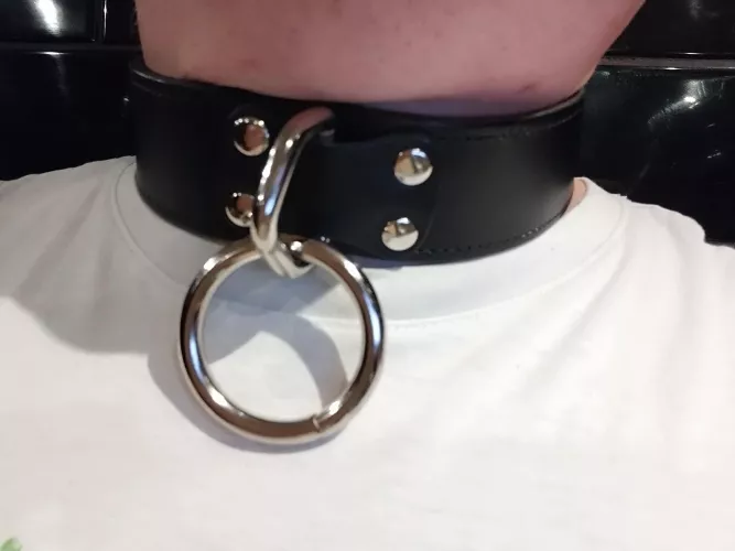 I got collared, I'm happy ♥️ by Feisty_T85