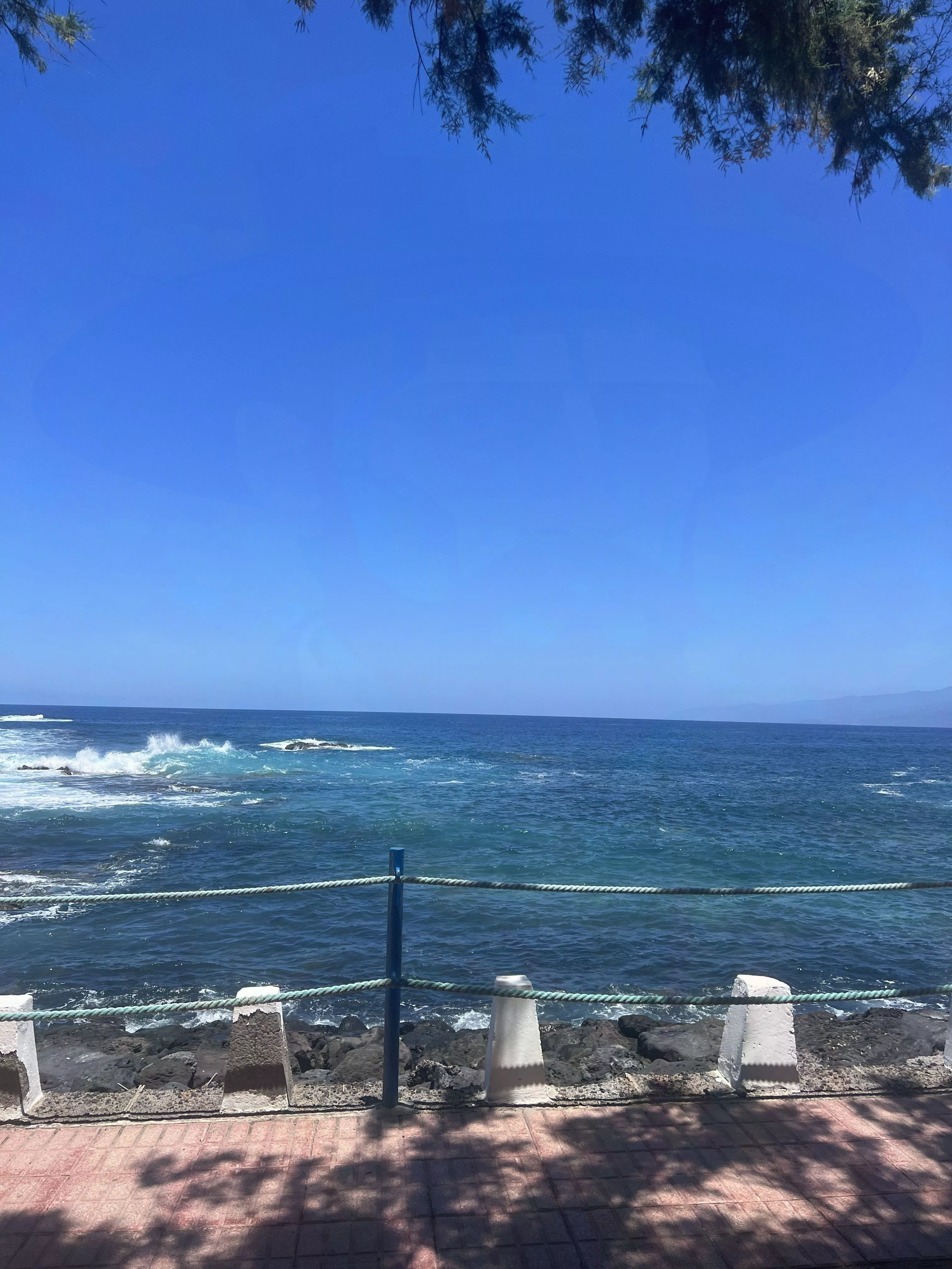 I want to see if you can fit between them posted by HighlightFew8282