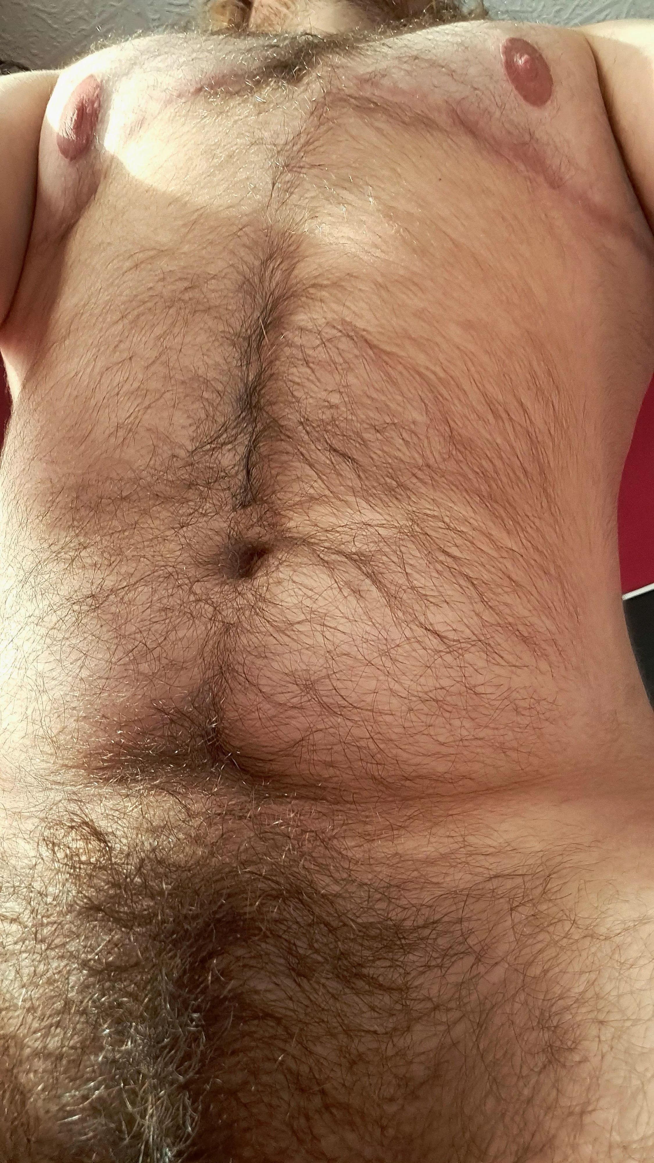 Love being a fuzzy trans bear. Worked so hard for this body it should be worshipped. posted by wray2000