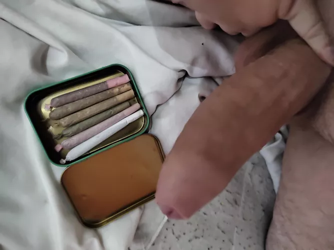 [m] Who tryna join me for a fun night? by idkwhattocallmyshit