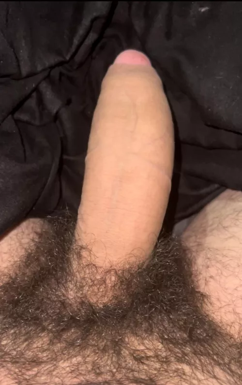 My thick hairy cock for you 😏🍆Dms open😈 by StraightHungAlpha