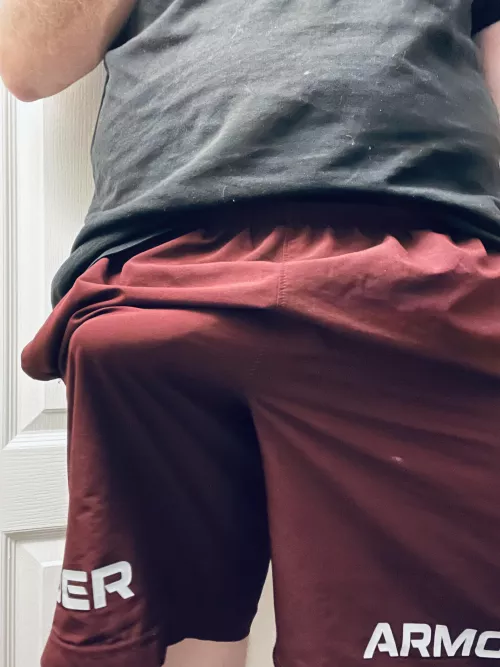 Poorly concealed by CheneyIVIania