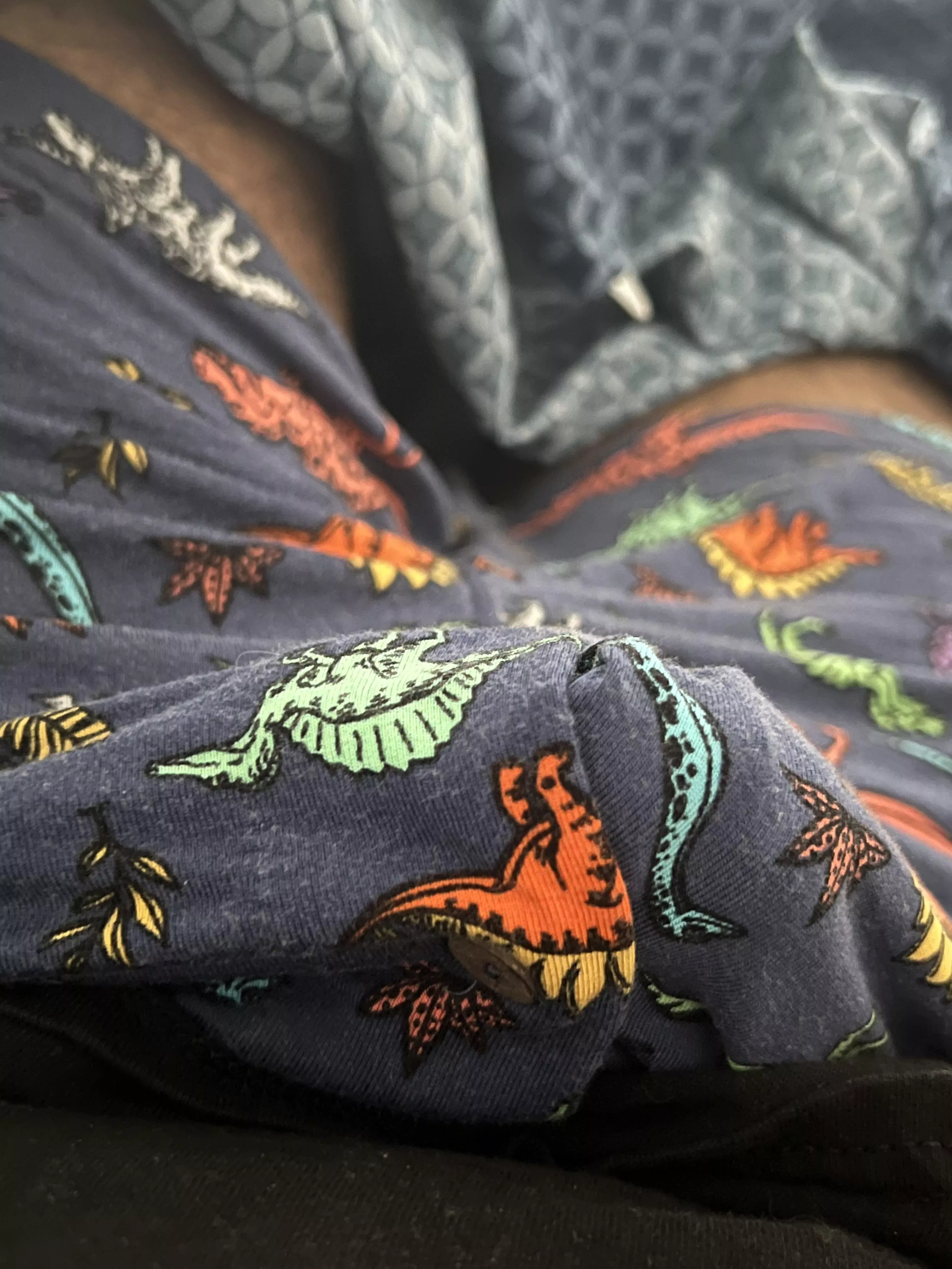 Rocking the Dinos today posted by Ok_Foundation_3508
