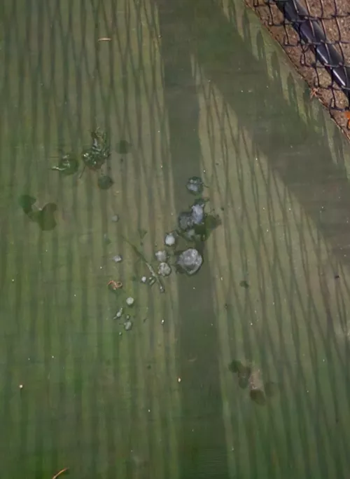 Shot my load while three other guys took turns fucking my face and covering it in cum by DLinMI