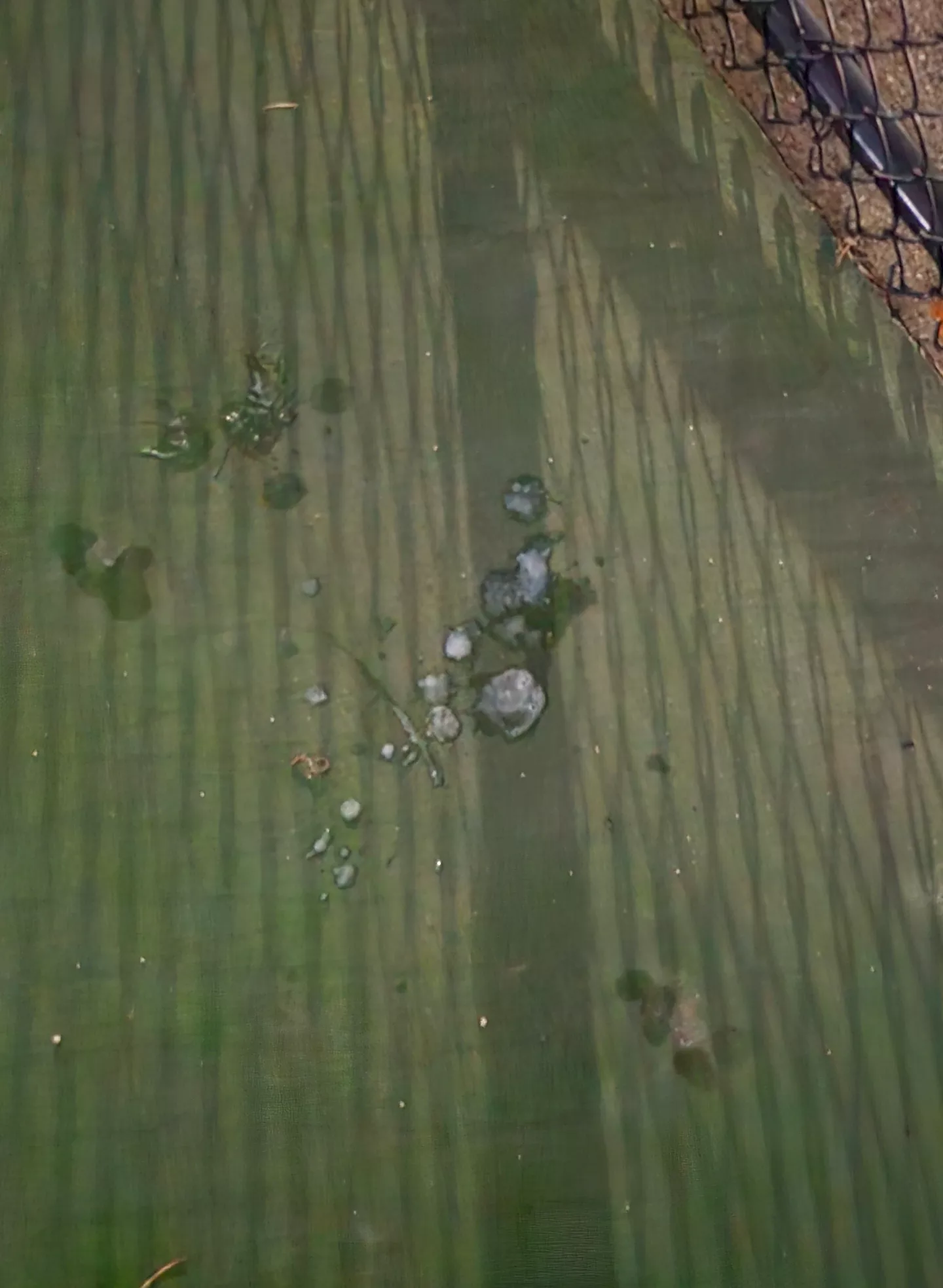 Shot my load while three other guys took turns fucking my face and covering it in cum posted by DLinMI