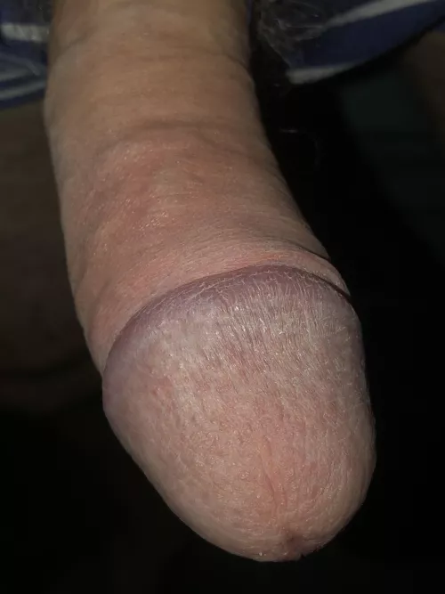 So damn Horny by Trainer-2