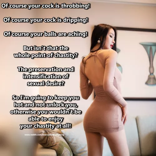 That's the point! by justchastityblog