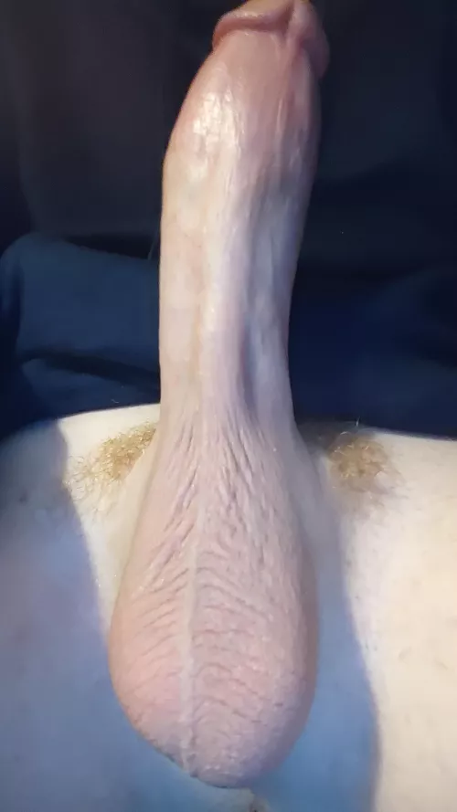 They look even more ginger after a trim by mildly_hung