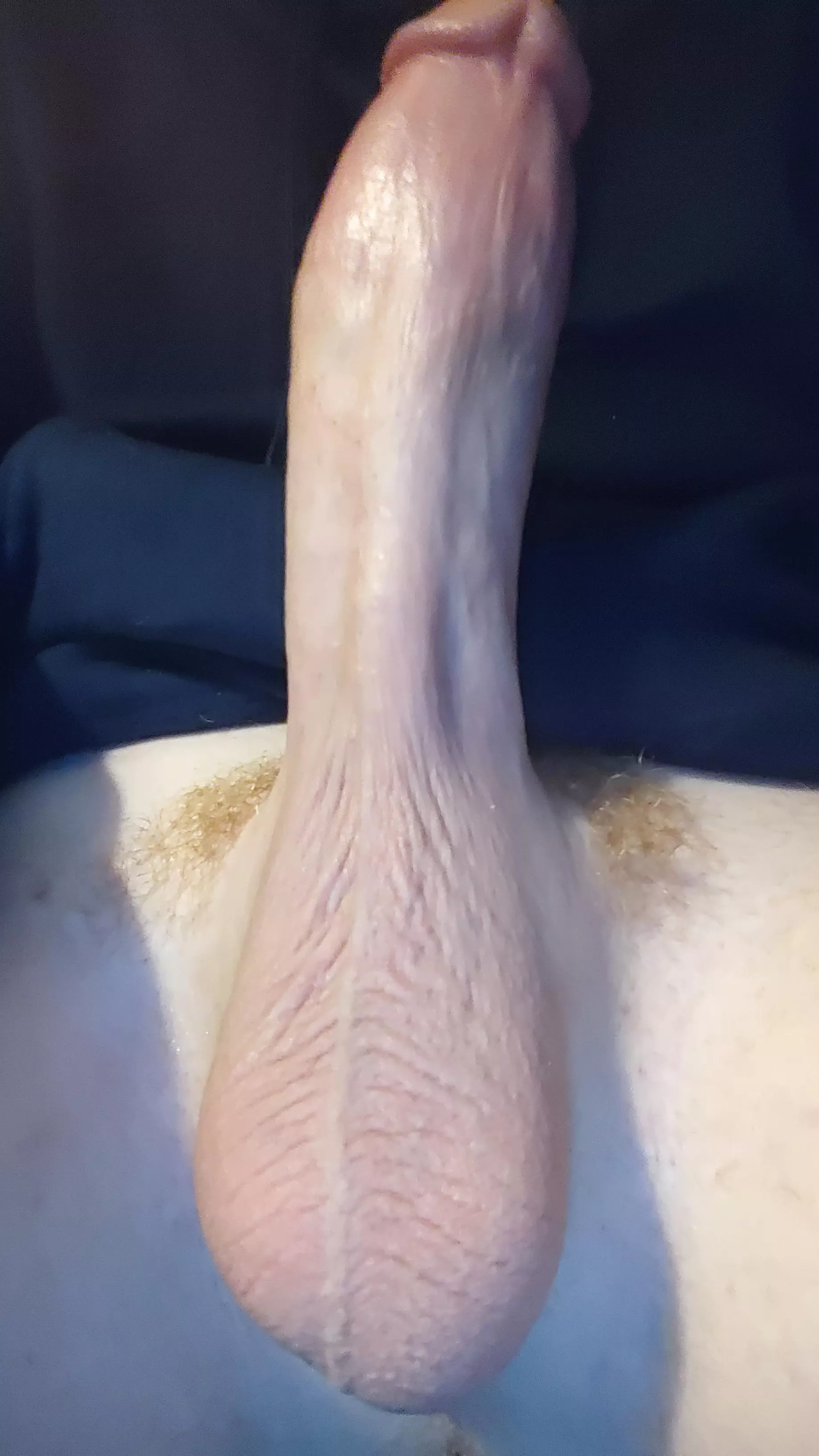 They look even more ginger after a trim posted by mildly_hung