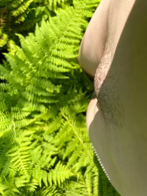 Thinking of growing my bush out:) by sweeetbabbbyyyy