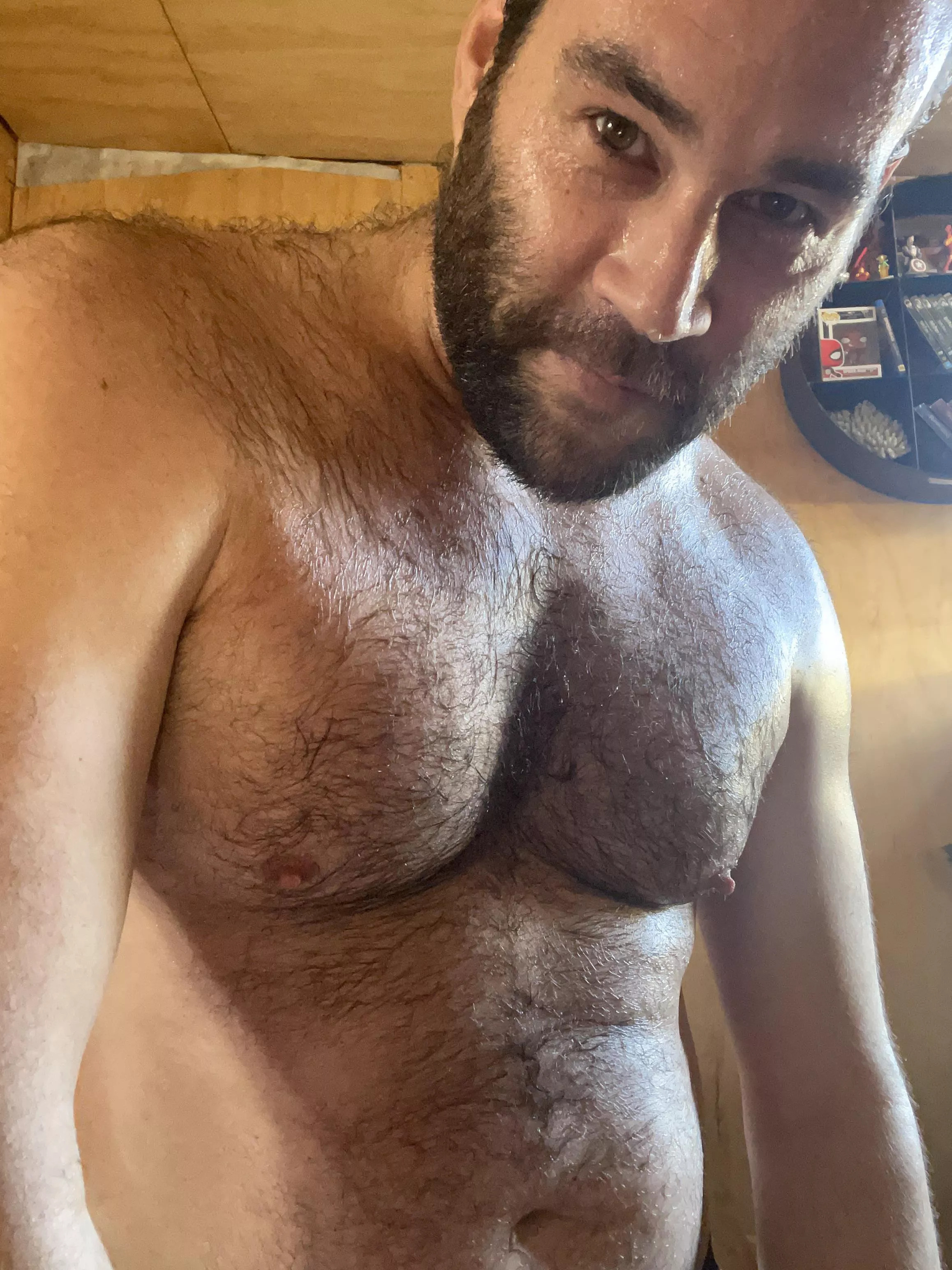 Very sweaty chest hair and these nipples need some attention please posted by Zaaaaddddyyyy