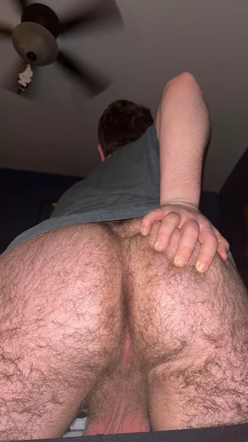 A lot of people liked the first one, here’s this one. by kalb0093