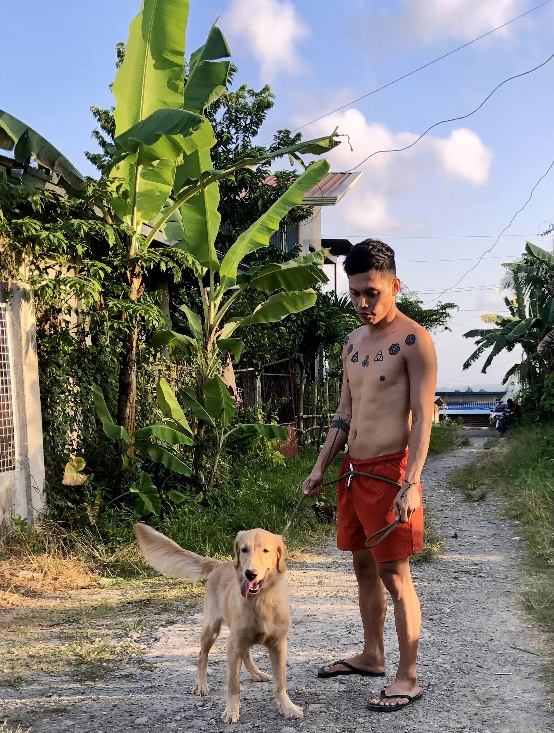 Are you a dog lover? posted by Belzeebub29