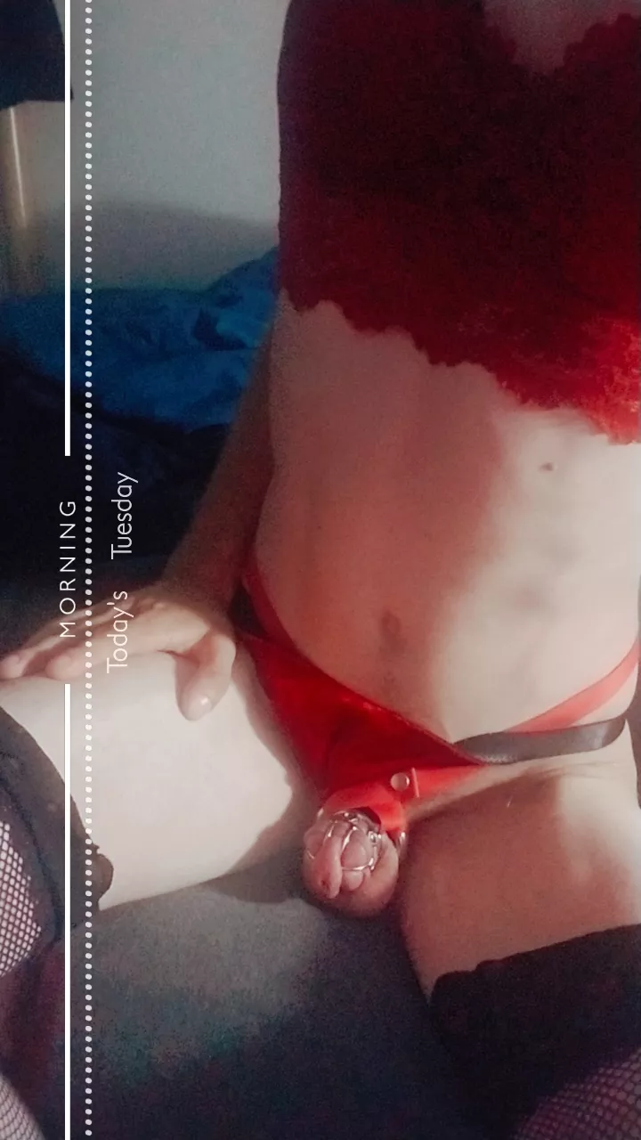 Aww so tiny and useless🥰 the spikes help with that🥴 posted by sissy4femme