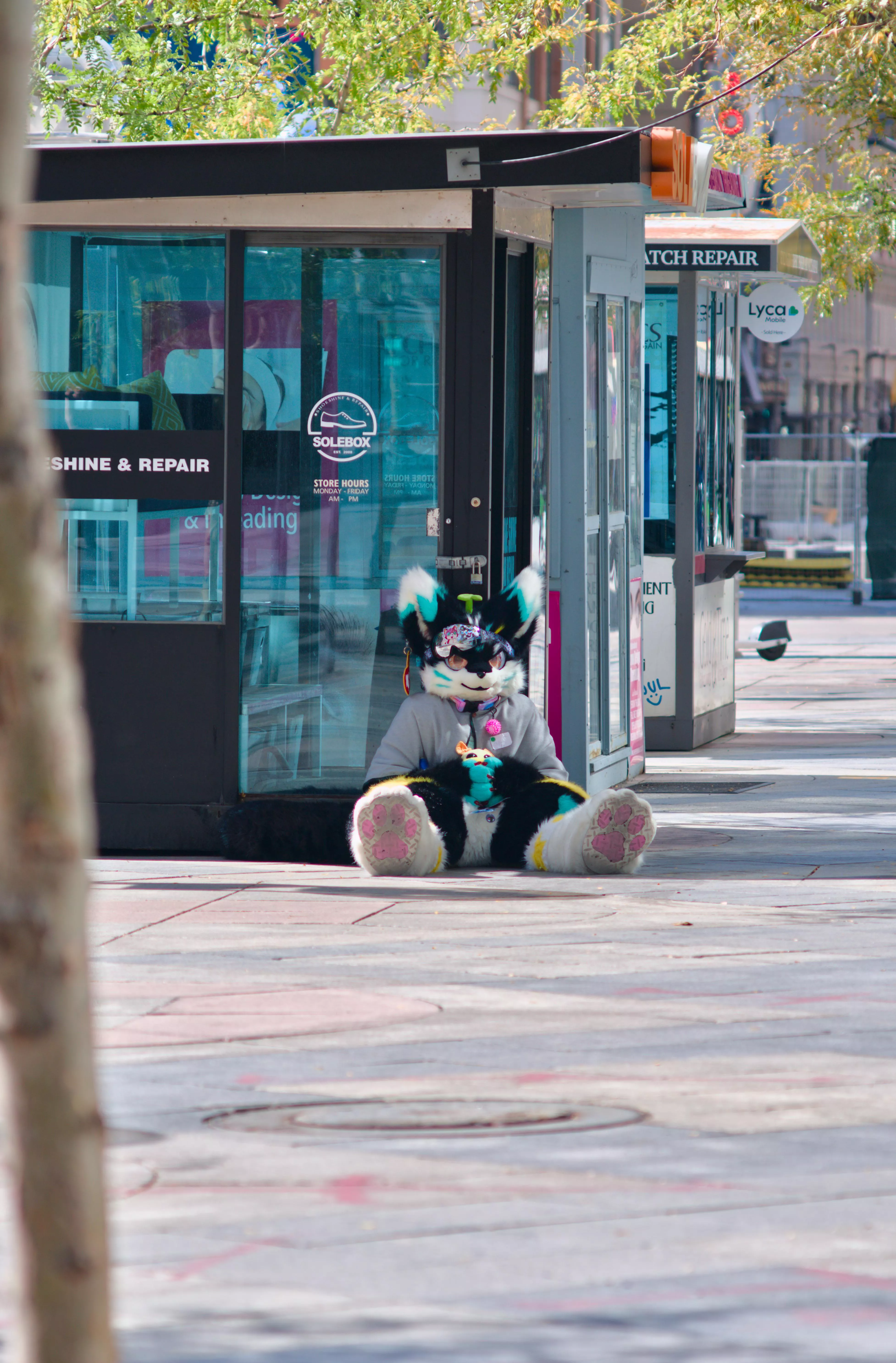 Beans beans beans beans beans posted by BluPointA