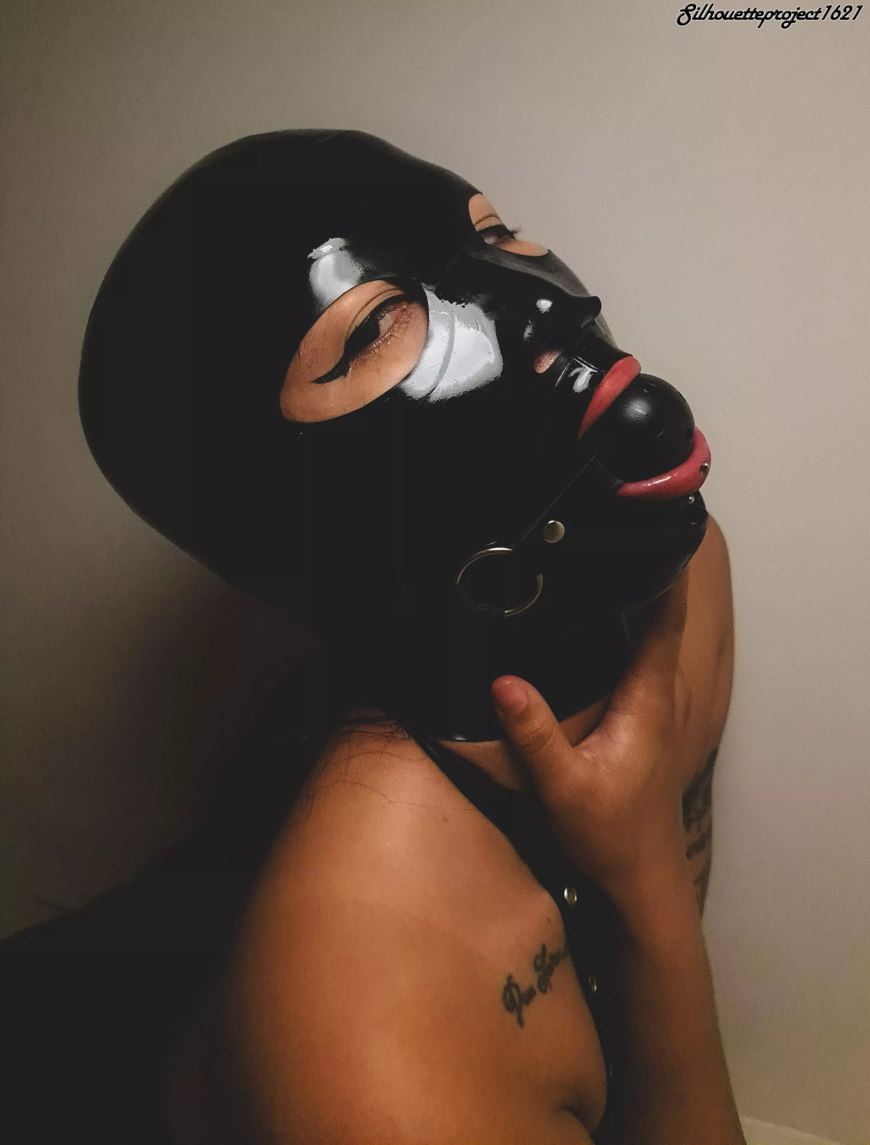 First time with a gag and she loved it posted by Silhouette_Project