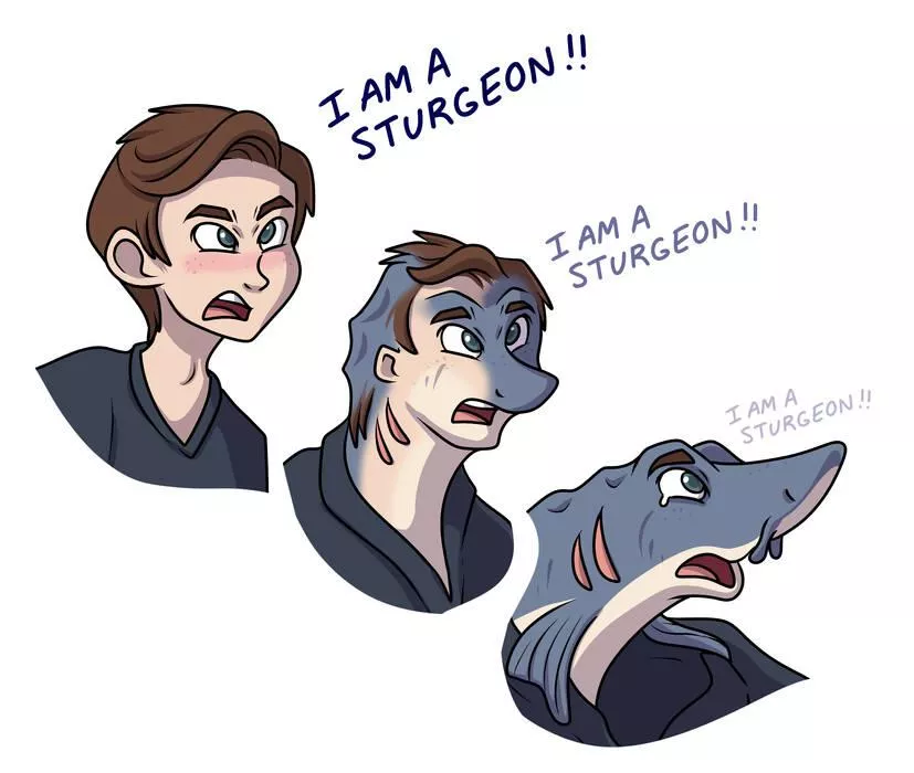 I am.. I am a sturgeon! (male to sturgeon) by SouthParkTaoist posted by AgenderChaos